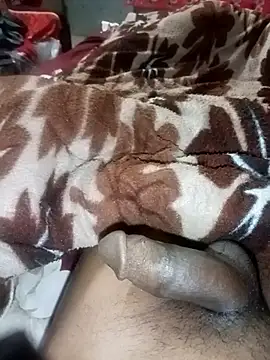 Bengali BULL1 online show from December 3, 5:08 pm