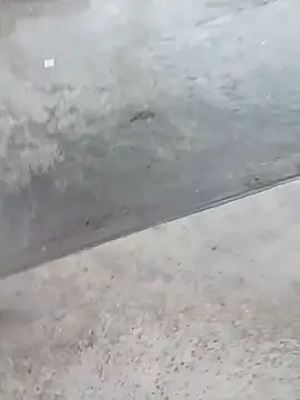 Bengali BULL1 online show from September 14, 11:45 am