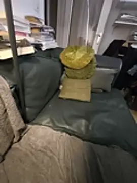 briochin online show from October 2, 2:21 pm