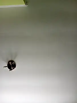 Snapshot of NiceHunter89 chatting on February 20, 10:37 am NiceHunter89 online show from February 20, 10:37 am