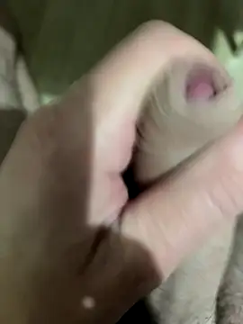 Snapshot of Bravissimo81 chatting on September 25, 8:52 pm Bravissimo81 online show from September 25, 8:52 pm