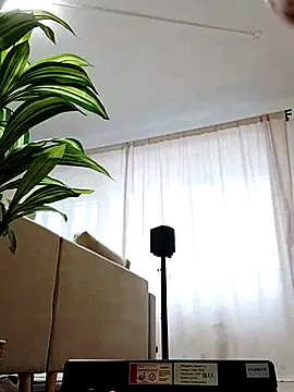 mister-dwt online show from February 26, 6:47 am