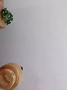 mister-dwt online show from January 8, 12:05 pm