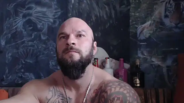 viking 30 online show from November 30, 10:50 am