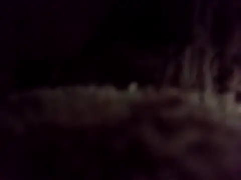 Njinjiwaboh online show from February 23, 2:46 am