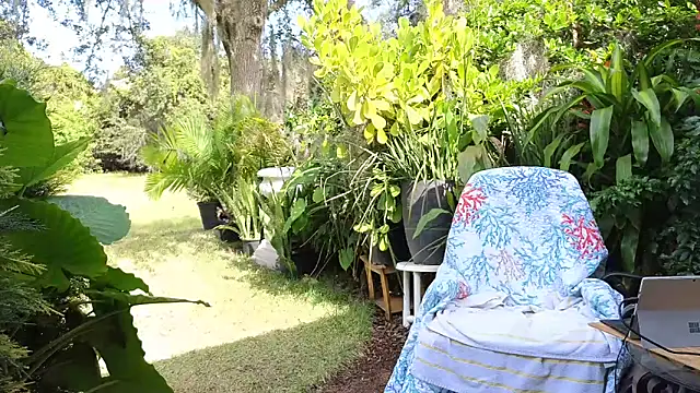 eliberator1777 online show from November 6, 5:49 pm