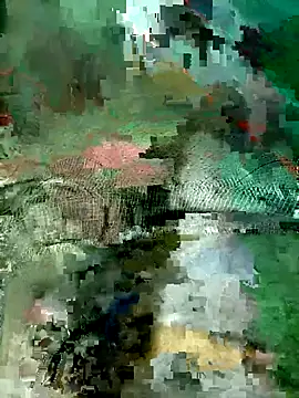 Subhajit12Jana23 online show from March 19, 6:49 am