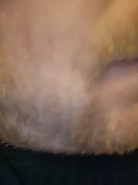 Rubisco90 online show from November 27, 12:58 am