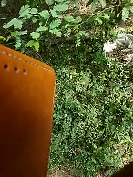 rameshmry1 online show from January 7, 5:01 am