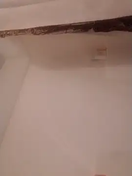 Dnbigo89 online show from January 26, 5:23 am