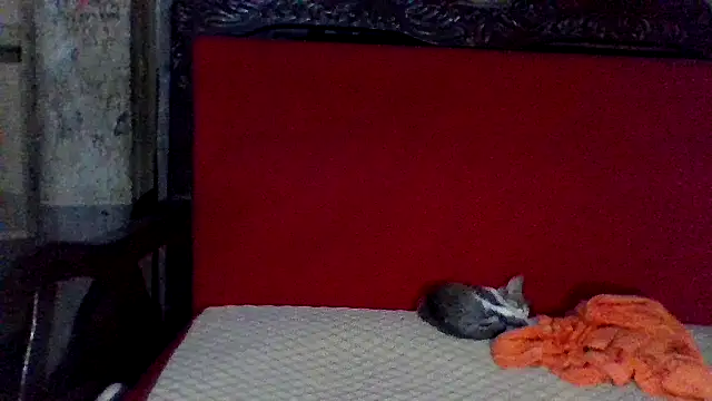 Snapshot of axomen chatting on February 16, 3:58 am axomen online show from February 16, 3:58 am