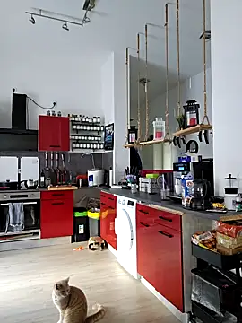 Snapshot of Trucker_Hunter chatting on March 15, 8:04 am Trucker Hunter online show from March 15, 8:04 am