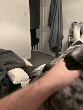 Furdale online show from November 19, 5:35 pm