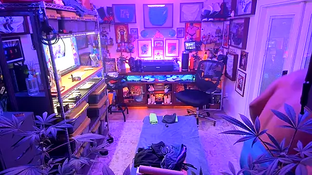 Briefs bud online show from December 16, 3:19 am