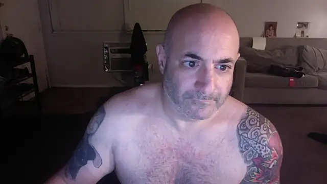 palidin1 online show from December 5, 7:26 am