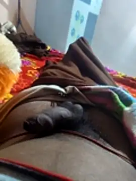 khilkhiladi online show from February 5, 7:43 pm