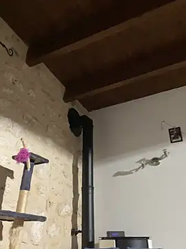 steph19x5 online show from December 27, 5:42 am