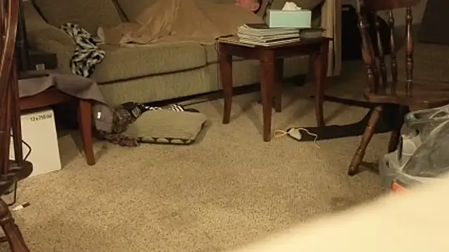 CDforU online show from December 15, 11:02 pm