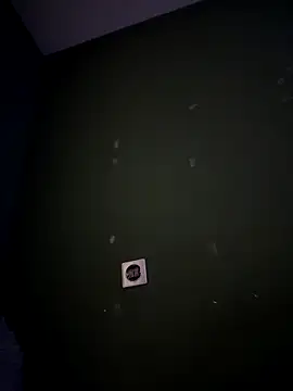 Snapshot of Janssen88 chatting on October 10, 11:08 pm Janssen88 online show from October 10, 11:08 pm