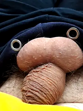 bms125 online show from January 12, 12:47 am