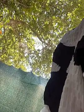 Snapshot of Shamang269 chatting on October 1, 7:29 pm Shamang269 online show from October 1, 7:29 pm