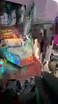 Snapshot of OSIRlS chatting on January 12, 1:16 pm OSIRlS online show from January 12, 1:16 pm