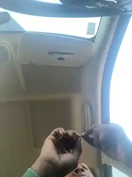 putograms online show from December 18, 7:21 pm