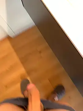 Snapshot of Fellix chatting on February 15, 10:33 am Fellix online show from February 15, 10:33 am