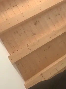 Snapshot of Fellix chatting on February 4, 2:43 pm Fellix online show from February 4, 2:43 pm