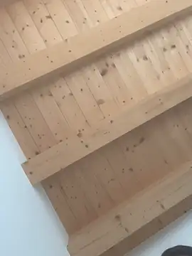 Snapshot of Fellix chatting on February 24, 11:43 am Fellix online show from February 24, 11:43 am