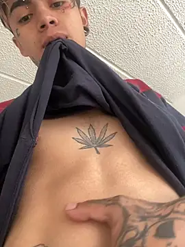 Snapshot of AcidMilo chatting on February 22, 12:51 pm AcidMilo online show from February 22, 12:51 pm