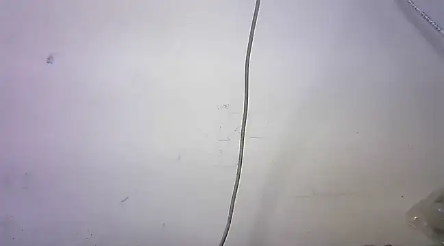 Snapshot of mrose8080 chatting on March 6, 2:08 pm mrose8080 online show from March 6, 2:08 pm