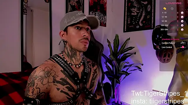 TigerStripes1  online show from March 25, 3:05 pm