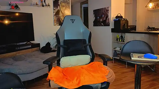 Michael Diamond online show from November 14, 2:48 am