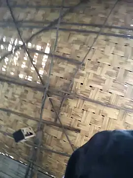 kvr27 online show from February 2, 12:35 pm